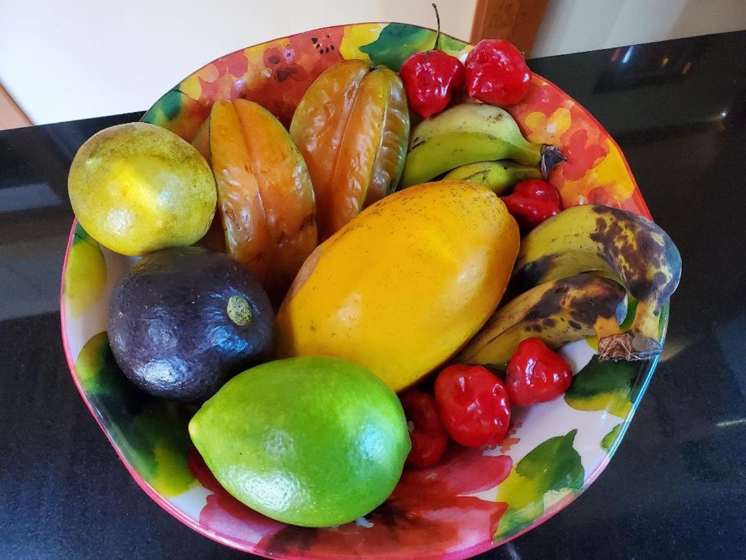 Pahoa Paradise Palms Екстериор снимка